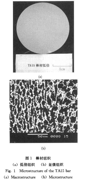 棒材組織 棒材組織