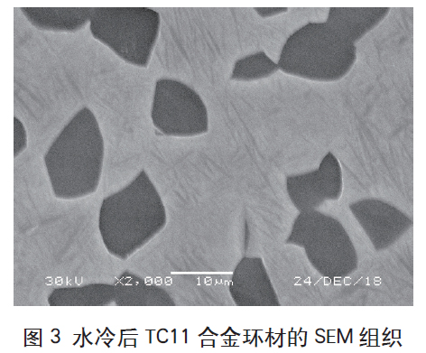 1665284377286396.jpg t3.jpg