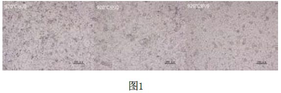 1670414617492968.jpg t1.jpg