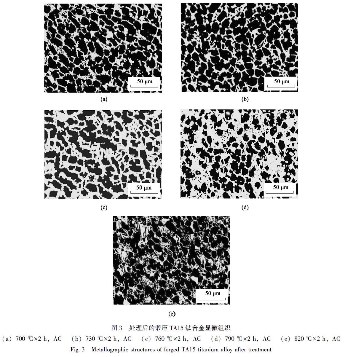 1671612846199636.jpg t3.jpg