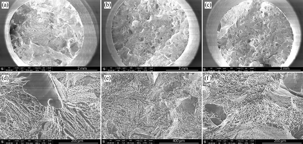 1677489031377675.jpg t11.jpg