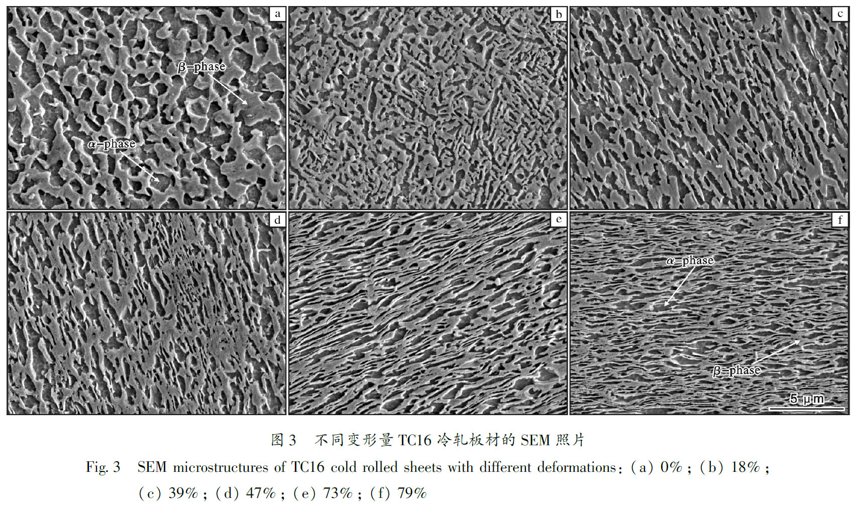 1684900260955511.jpg t3.jpg