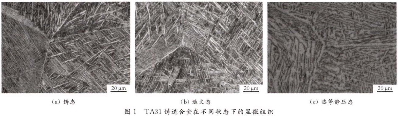 1696341336297422.jpg t1.jpg