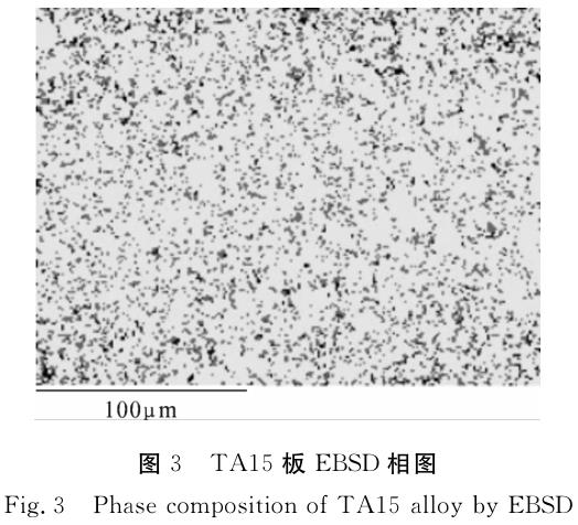 1696408029842979.jpg t3.jpg