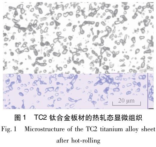 1696409356805665.jpg t1.jpg