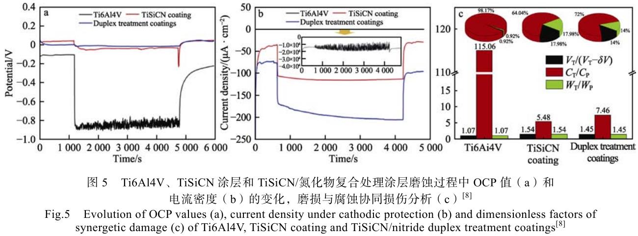 1700445524307628.jpg t5.jpg