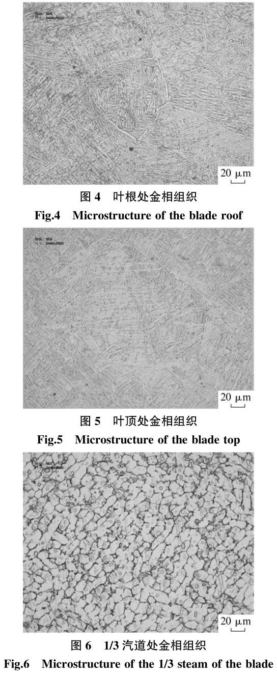 1700692018750416.jpg t4-6.jpg