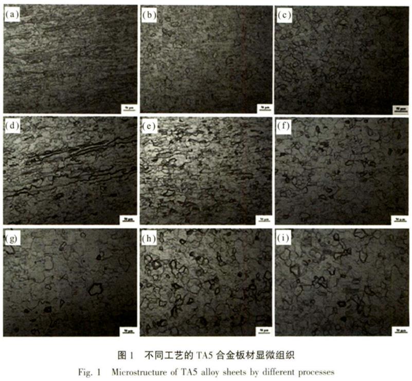 1705759072541927.jpg t1.jpg