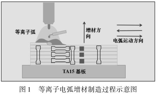 1708417713462315.jpg t1.jpg