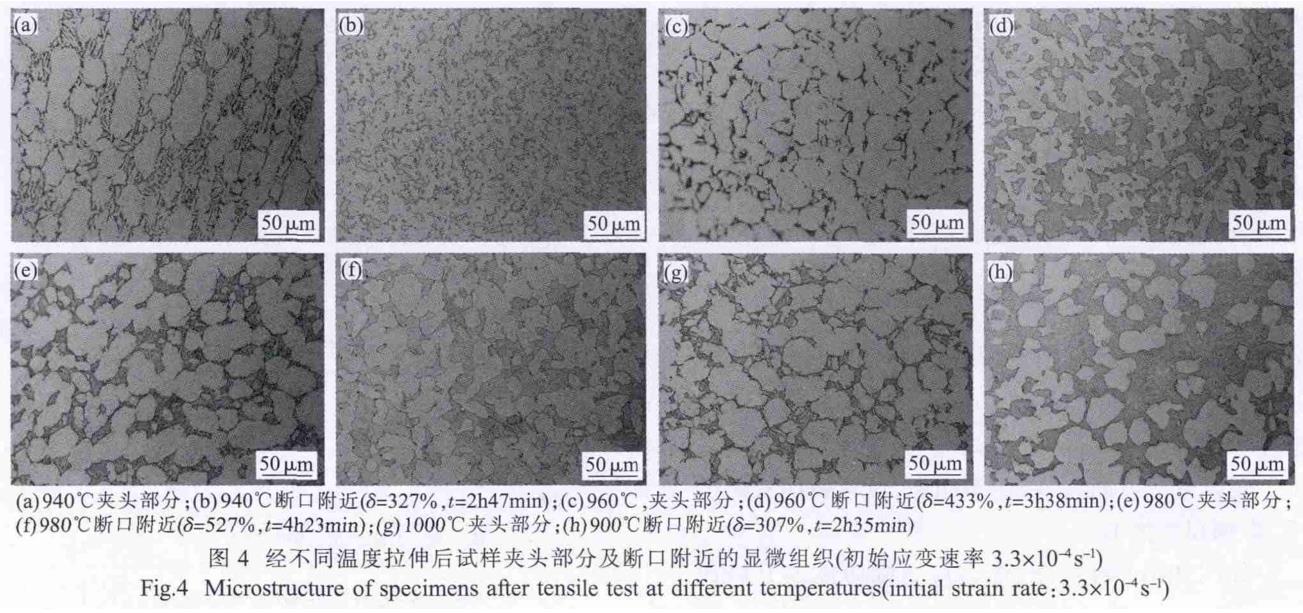 1708436999260006.jpg t4.jpg