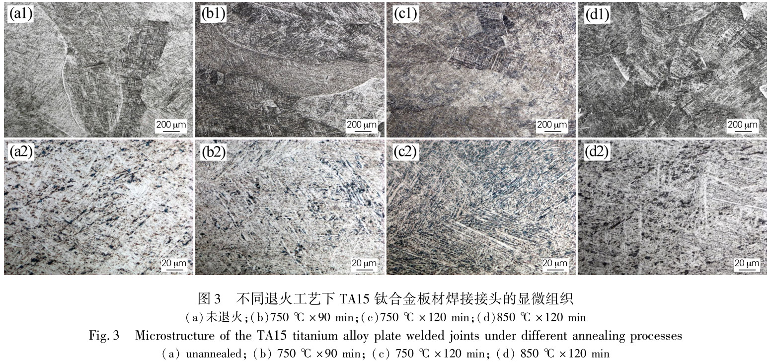 1712483646421338.jpg t3.jpg