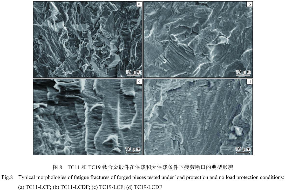 1713444095112026.jpg 360截圖1654060289136111.jpg