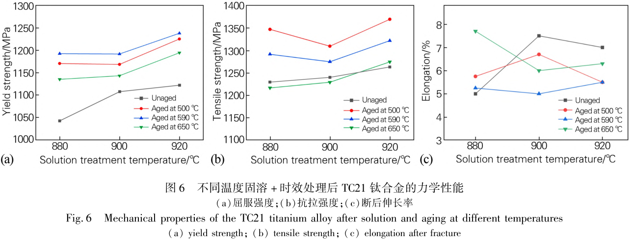 1715503046139052.jpg t6.jpg