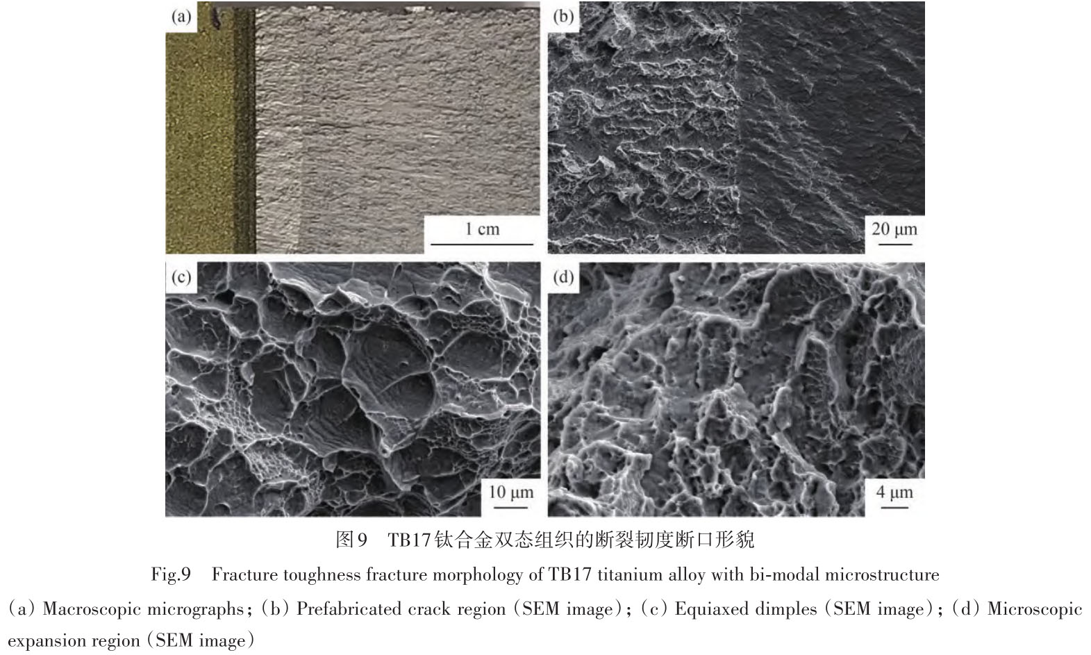 1716173805962449.jpg t9.jpg