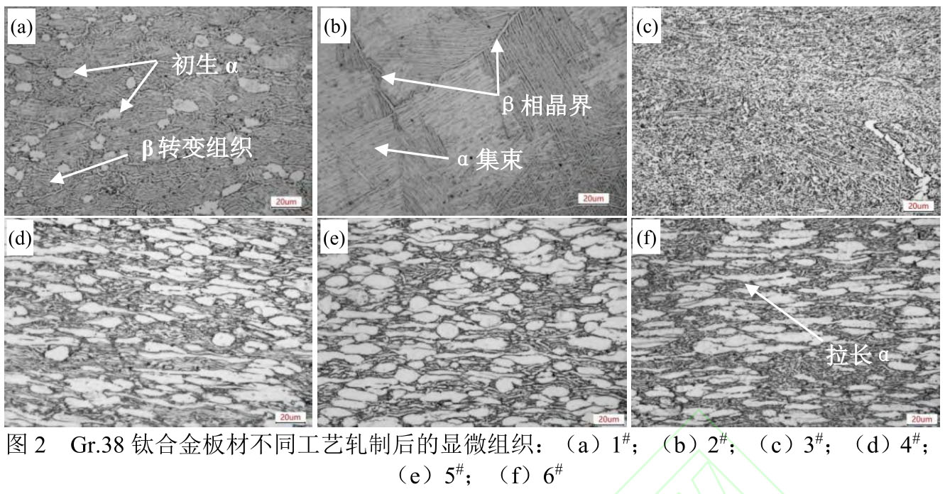 1717407406988771.jpg t2.jpg