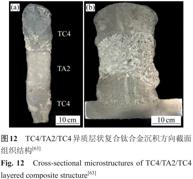 1724665109322369.jpg t12.jpg