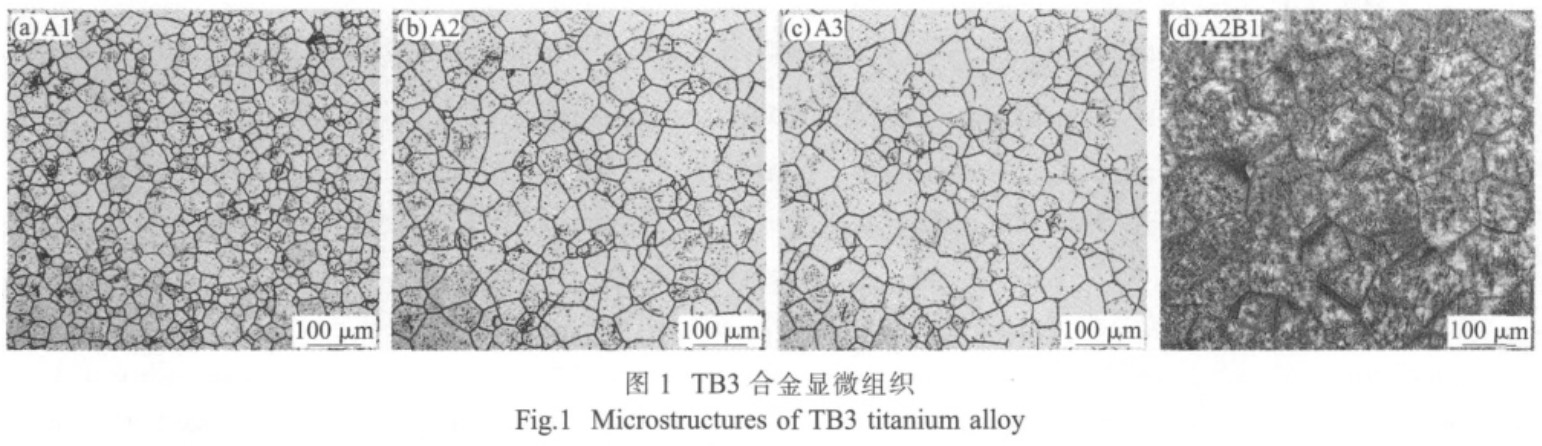 1730172604979899.jpg t1.jpg