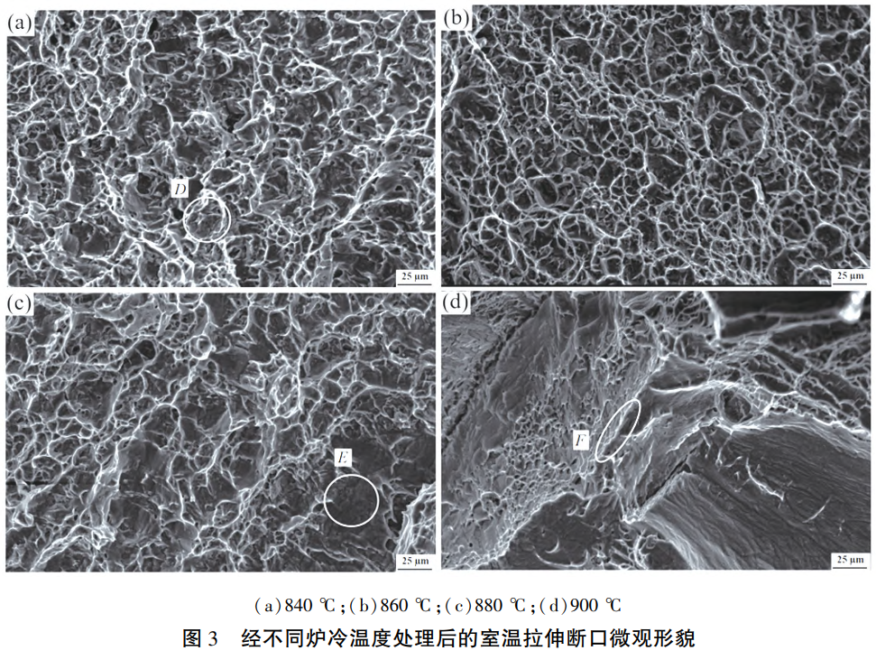 1731123408998430.png 截圖20241109113600.png