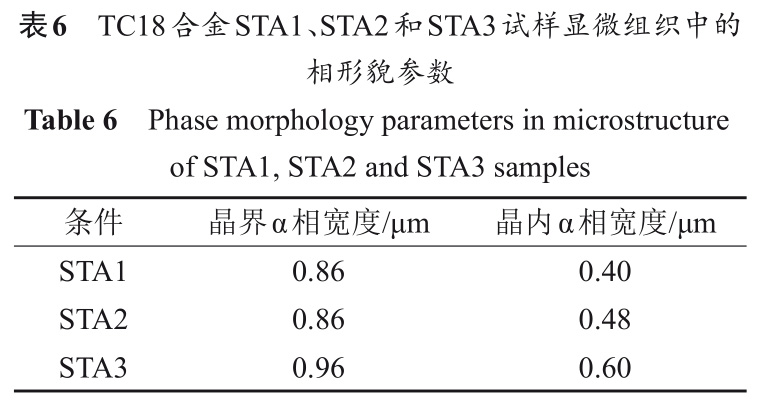 1733109373387786.jpg b6.jpg