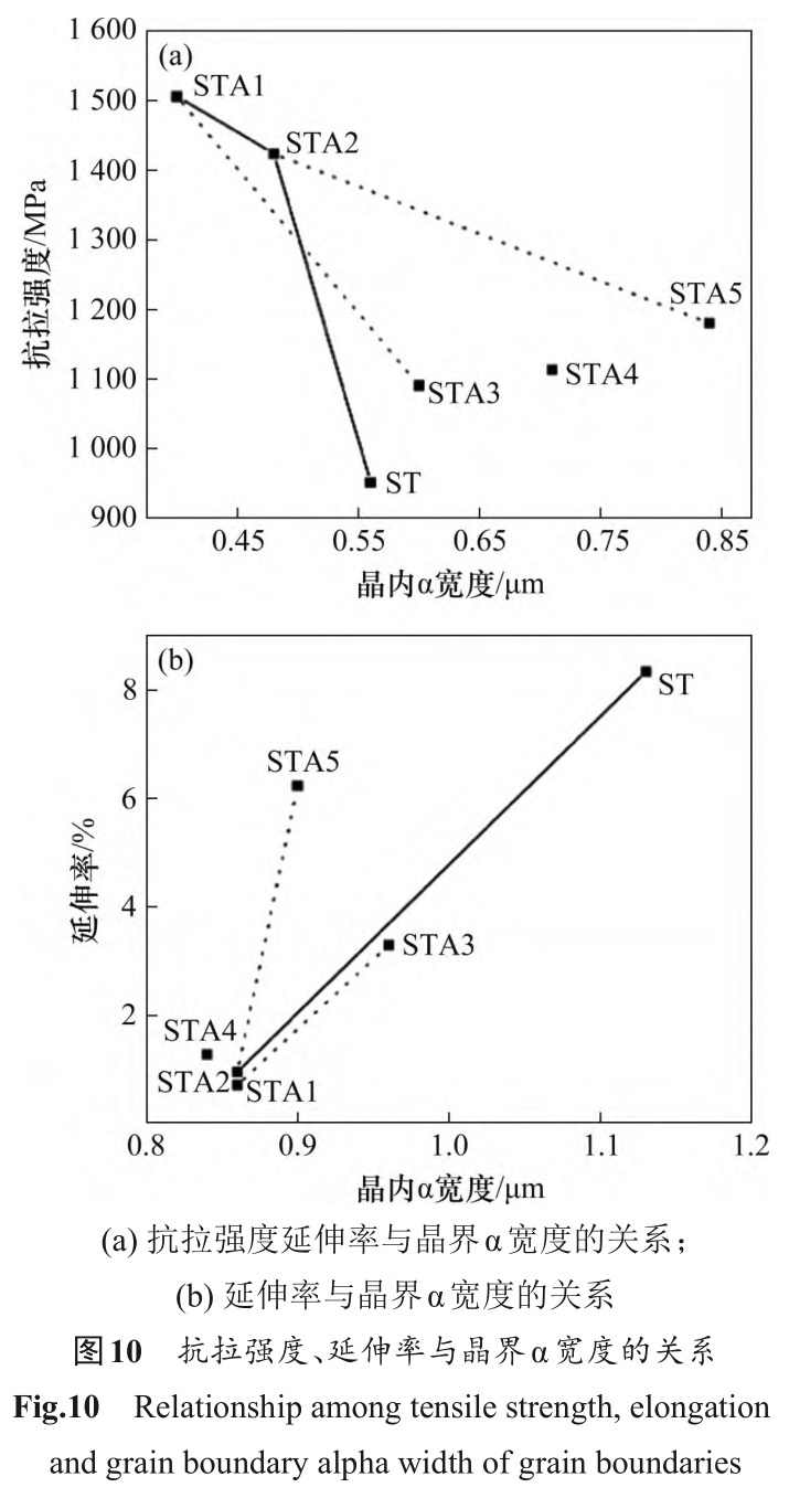 1733109400967658.jpg 10.jpg