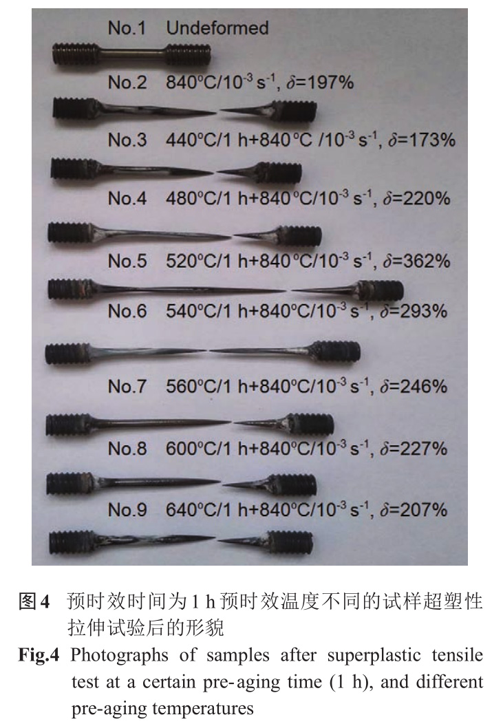 1733194240568631.jpg 未標題-7.jpg