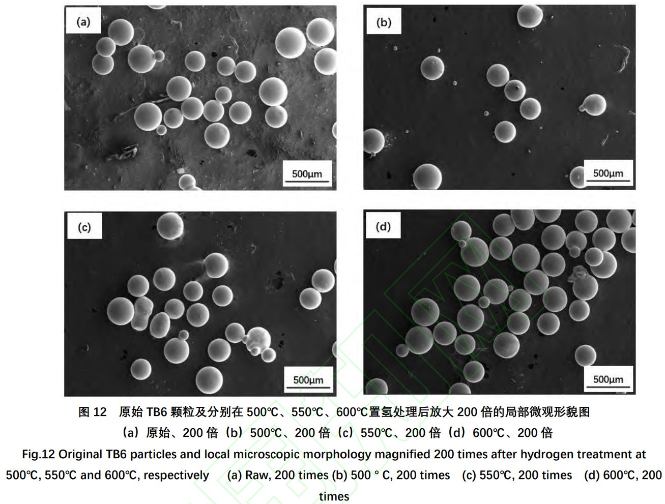 1734250697536598.jpg 12.jpg