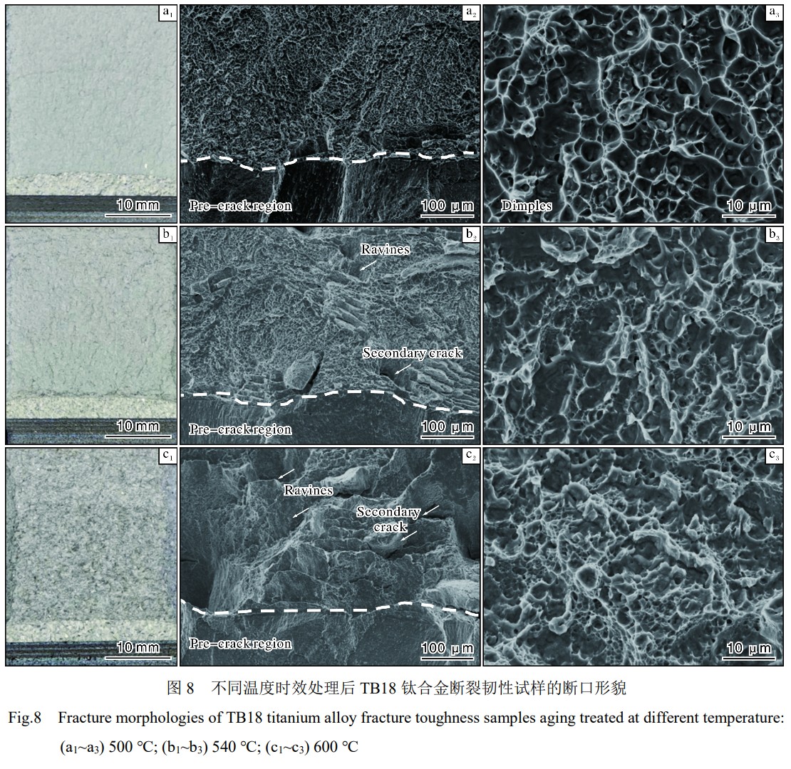 1743305422595354.jpg 未標題-2.jpg